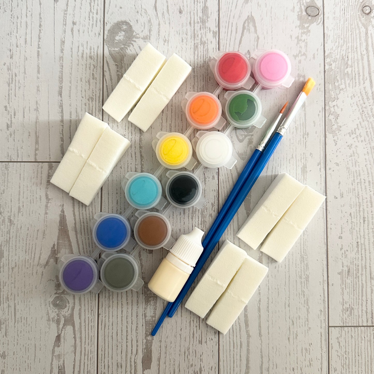 Premium Paint Toolkit with Brushes, Sponges, Glue & 12 Colors